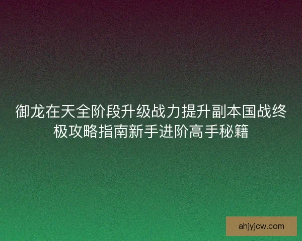 御龙在天全阶段升级战力提升副本国战终极攻略指南新手进阶高手秘籍